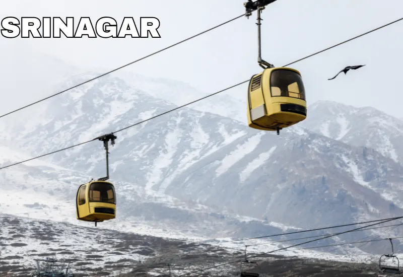 Srinagar Package
