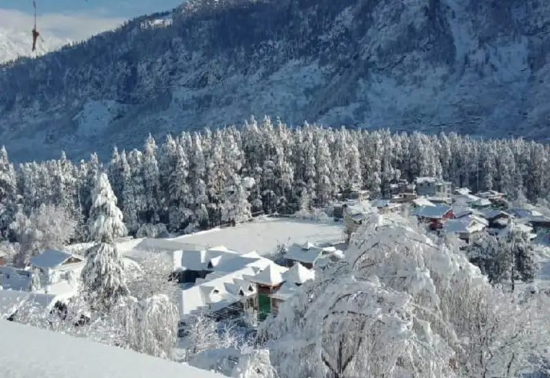 Dalhousie Package