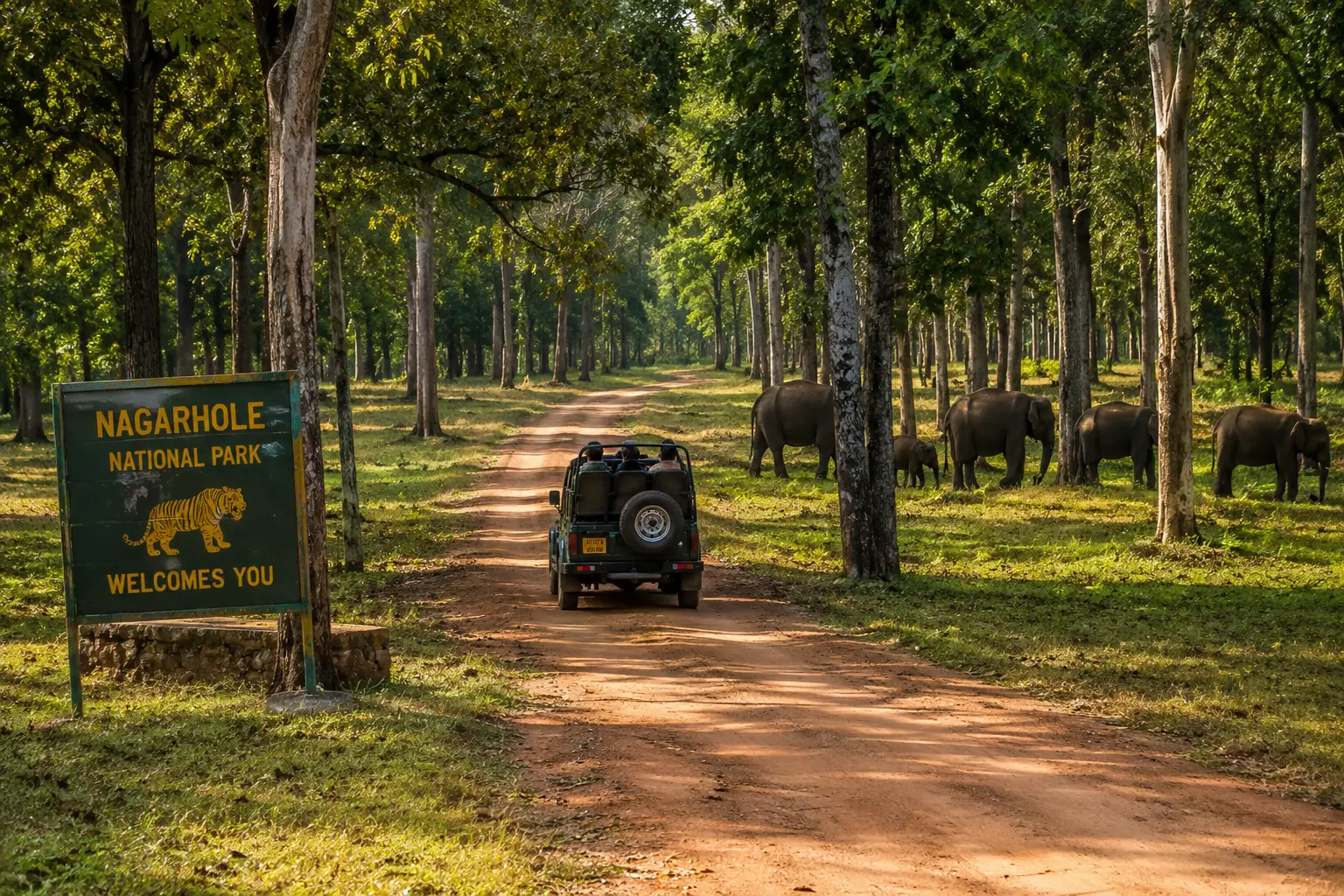 Nagarhole National Park Tour Package